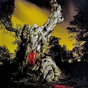 Real Farmer - Two Wrongs Don't Make A Right i gruppen VINYL / Kommande / Pop-Rock hos Bengans Skivbutik AB (5664111)