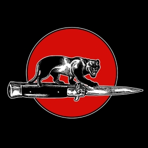 Jim Jones All Stars - Cat Fight i gruppen VINYL / Kommande / Pop-Rock hos Bengans Skivbutik AB (5664112)