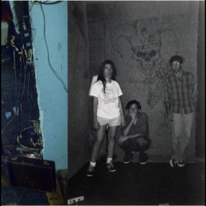 Harry Pussy - You'll Never Play This Town Again i gruppen VINYL / Kommande / Pop-Rock hos Bengans Skivbutik AB (5664295)