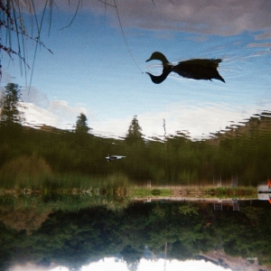 Tomu Dj - Antagonist i gruppen VINYL / Kommande / Pop-Rock hos Bengans Skivbutik AB (5664312)