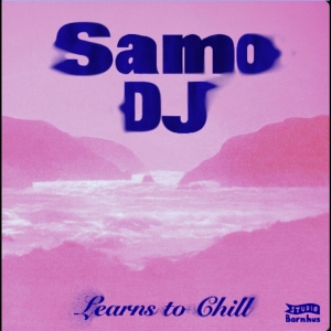 Samo Dj - Learns To Chill i gruppen VINYL / Kommande / Pop-Rock hos Bengans Skivbutik AB (5664645)