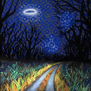 Toodles & The Hectic Pity - Every Night Is A Beautiful Night i gruppen VI TIPSAR / Fredagsreleaser / 2026-03-20 hos Bengans Skivbutik AB (5664945)