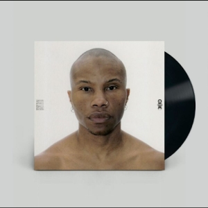 Tygapaw - Together You Gather All Power Appli i gruppen VINYL / Kommande / Pop-Rock hos Bengans Skivbutik AB (5665015)