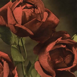 Cindy - Another Country i gruppen VINYL / Kommande / Pop-Rock hos Bengans Skivbutik AB (5665022)