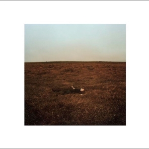 Fink - The City Coming To Erase It All i gruppen VINYL / Kommande / Pop-Rock hos Bengans Skivbutik AB (5665250)