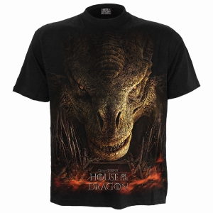 House Of The Dragon - Dragon Throne - T-Shirt i gruppen MERCHANDISE / T-shirt / TV-serie hos Bengans Skivbutik AB (5666019r)