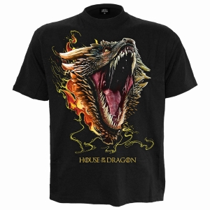House Of The Dragon - Drogon - T-Shirt i gruppen MERCHANDISE / T-shirt / TV-serie hos Bengans Skivbutik AB (5666020r)