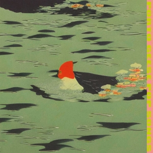 Porto Geese - Pop Songs (Vinyl Lp) i gruppen VINYL / Kommande / Pop-Rock hos Bengans Skivbutik AB (5666126)