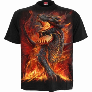 Spiral - Draconis - T-Shirt i gruppen MERCHANDISE / T-shirt / Nyheter / Övrigt hos Bengans Skivbutik AB (5667027r)