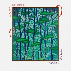 Molto Morbidi - Maybe Marcel i gruppen VINYL / Kommande / Pop-Rock hos Bengans Skivbutik AB (5667646)