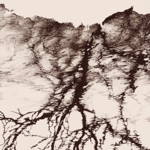 Ylva Ceder - Tree Vibrations i gruppen VINYL / Nyheter / Svensk Musik hos Bengans Skivbutik AB (5667832)