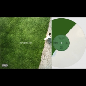 The Maine - Joy Next Door i gruppen VINYL / Kommande / Pop-Rock hos Bengans Skivbutik AB (5667897)