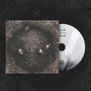 Pure Wrath - Bleak Days Ahead (Digipack) i gruppen CD / Kommande / Hårdrock hos Bengans Skivbutik AB (5667909)