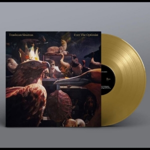 Trashcan Sinatras - Ever The Optimist i gruppen VINYL / Kommande / World Music hos Bengans Skivbutik AB (5667980)