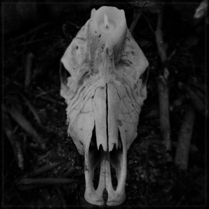 Worsen - Cursed To Witness Life (Vinyl Lp) i gruppen VINYL / Nyheter / Hårdrock hos Bengans Skivbutik AB (5668028)