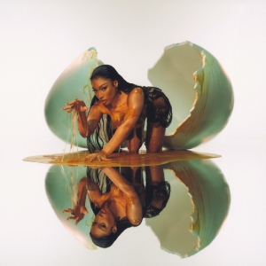 Megan Thee Stallion - Megan (Silver Vinyl Edition) i gruppen ÖVRIGT / -Start WMS hos Bengans Skivbutik AB (5668146)