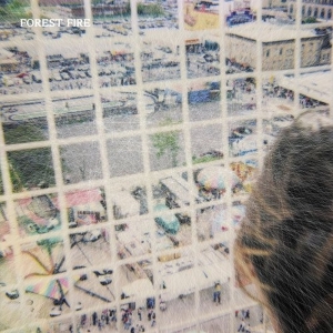 Forest Fire - Staring At The X i gruppen VINYL / Pop-Rock hos Bengans Skivbutik AB (5669001)