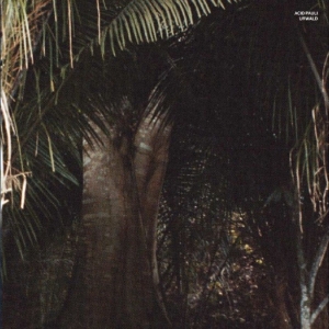 Acid Pauli - Urwald i gruppen VINYL / Kommande / Pop-Rock hos Bengans Skivbutik AB (5669074)