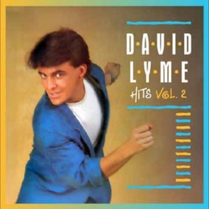 Lyme David - Hits E.P. Vol. 2 i gruppen VINYL / Kommande / Pop-Rock hos Bengans Skivbutik AB (5669114)