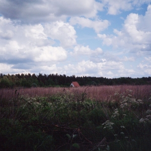 Tiner Kris & Cathlene Pineda - Sung i gruppen VINYL / Kommande / Jazz hos Bengans Skivbutik AB (5669127)