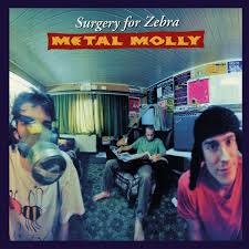 Metal Molly - Surgery For Zebra i gruppen VI TIPSAR / Fredagsreleaser / 2026-05-29 hos Bengans Skivbutik AB (5669187)