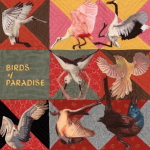 Thomas Dollbaum - Birds Of Paradise (Ltd. Roseate Spo i gruppen VINYL / Kommande / World Music hos Bengans Skivbutik AB (5669362)