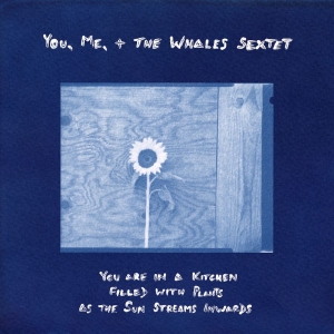 You Me + The Whales Sextet - You Are In A Kitchen Filled With Pl i gruppen VINYL / Kommande / Jazz hos Bengans Skivbutik AB (5669706)
