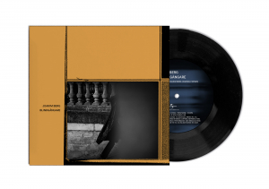 Joakim Berg - Blindgångare i gruppen VI TIPSAR / Record Store Day / RSD 2026 hos Bengans Skivbutik AB (5669847)