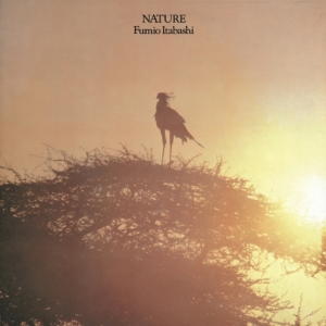Fumio Itabashi - Nature i gruppen VINYL / Nyheter / Japansk Musik hos Bengans Skivbutik AB (5669853)