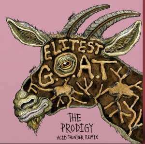 Sleaford Mods - Elitest G.O.A.T - The Prodigy Acid i gruppen VINYL hos Bengans Skivbutik AB (5670048)