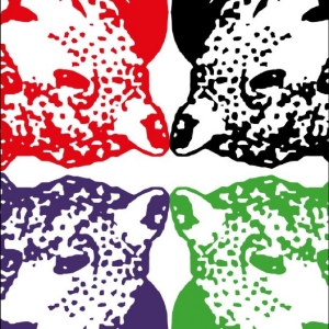 Tiger & Woods - Through The Green i gruppen VINYL / Kommande / Pop-Rock hos Bengans Skivbutik AB (5670066)