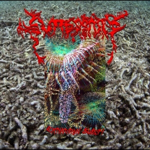 Guttersnipe - Extinction Burst! i gruppen VI TIPSAR / Startsida - Vinyl Nyheter & Kommande hos Bengans Skivbutik AB (5670073)