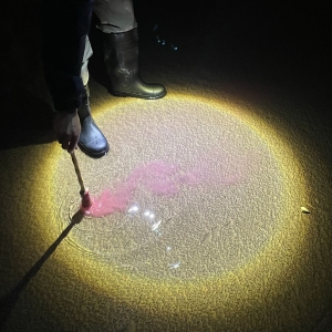 Diles Que No Me Maten - Escrito En Agua (Ltd. Sangre Luz Vi i gruppen VINYL / Kommande / Pop-Rock hos Bengans Skivbutik AB (5670640)