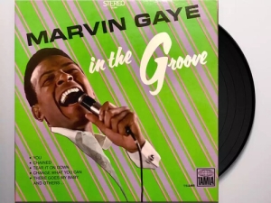 Marvin Gaye - In The Groove i gruppen VINYL / Importnyheter / RnB-Soul hos Bengans Skivbutik AB (5670742)