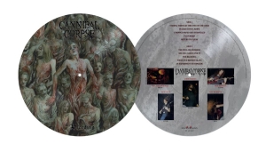 Cannibal Corpse - Bleeding The (Picture Disc Vinyl Lp i gruppen VINYL / Kommande / Hårdrock hos Bengans Skivbutik AB (5671330)