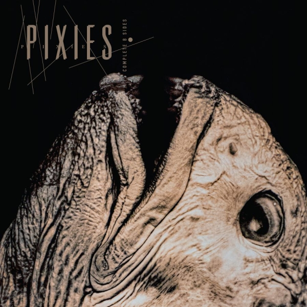 Pixies - Complete B Sides: 1988-97 i gruppen VINYL / Kommande / Pop-Rock hos Bengans Skivbutik AB (5671425)