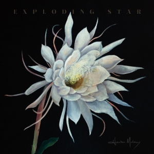 Maloney Heather - Exploding Star i gruppen VINYL / World Music hos Bengans Skivbutik AB (5671578)