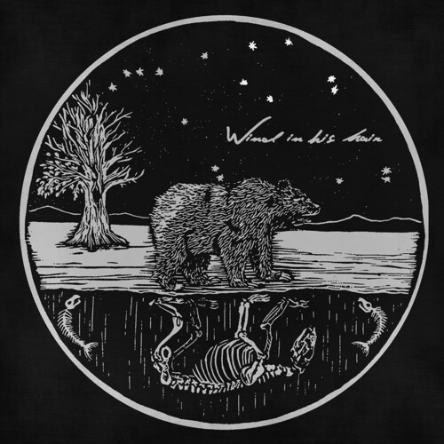 Wind In His Hair - Future Primitives i gruppen VINYL / Toppsäljare hos Bengans Skivbutik AB (5672422)