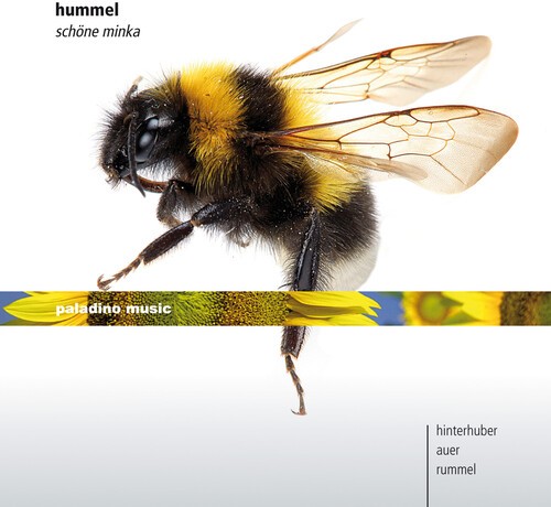 Johann Nepomuk Hummel - Schöne Minka i gruppen CD / Klassiskt hos Bengans Skivbutik AB (5672894)