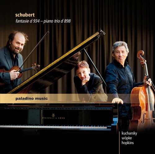 Schubert - Fantasie i gruppen CD / Klassiskt hos Bengans Skivbutik AB (5672906)