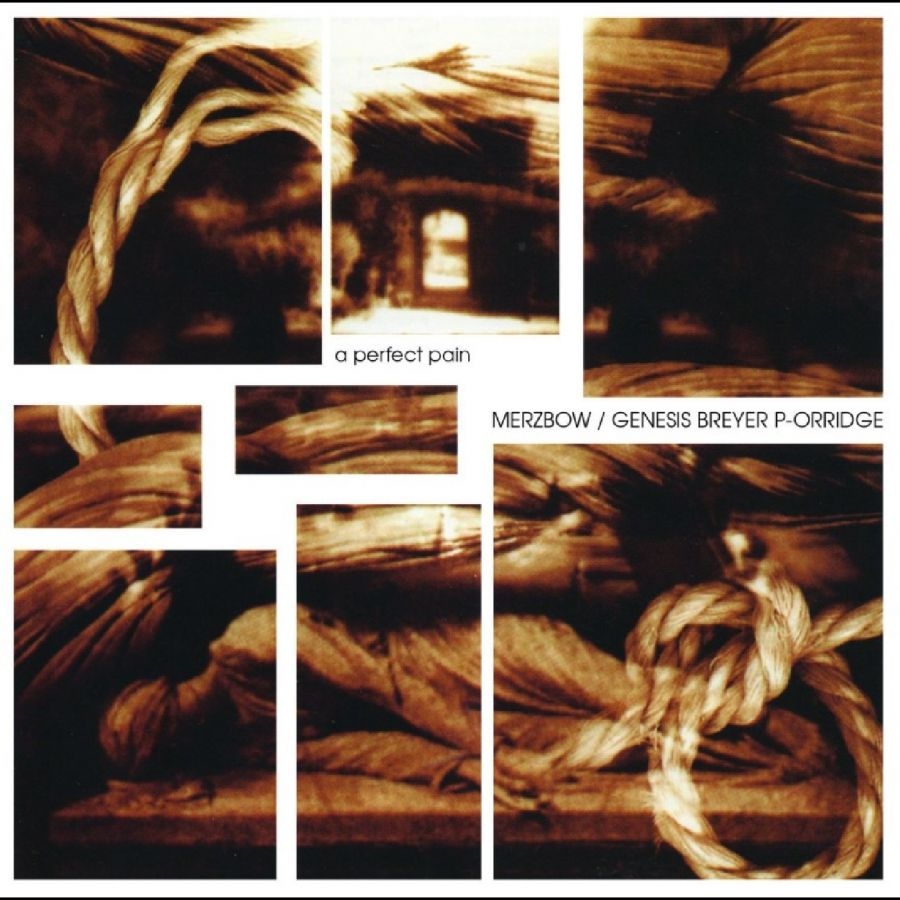 Merzbow / Genesis Breyer P-Orridge - A Perfect Pain i gruppen CD / Kommande / Pop-Rock hos Bengans Skivbutik AB (5673028)