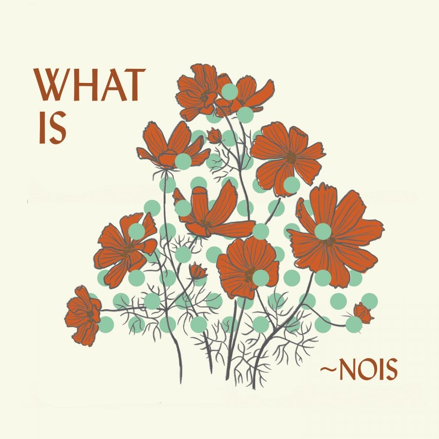 Nois - What Is ~Nois? i gruppen CD / Kommande / Pop-Rock hos Bengans Skivbutik AB (5673075)