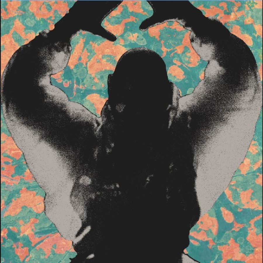 Startled Insects - The Antenna Years i gruppen VINYL / Kommande / Pop-Rock hos Bengans Skivbutik AB (5673092)