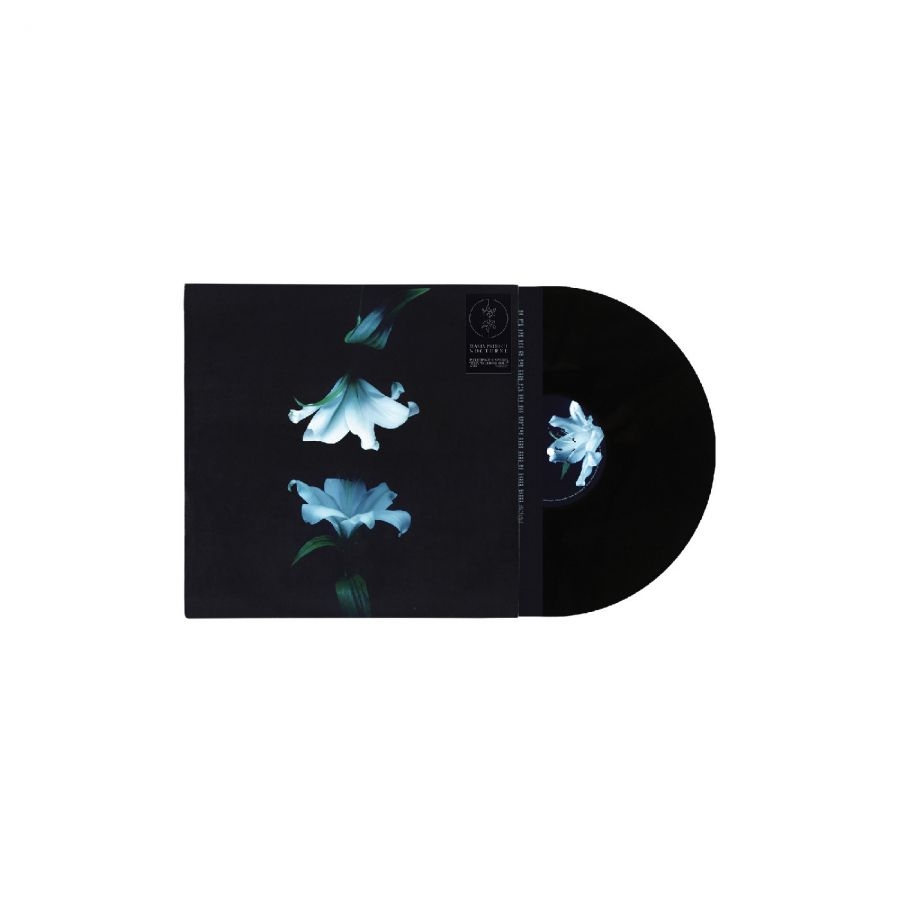 Wasia Project - Nocturne i gruppen VINYL / Kommande hos Bengans Skivbutik AB (5673117)