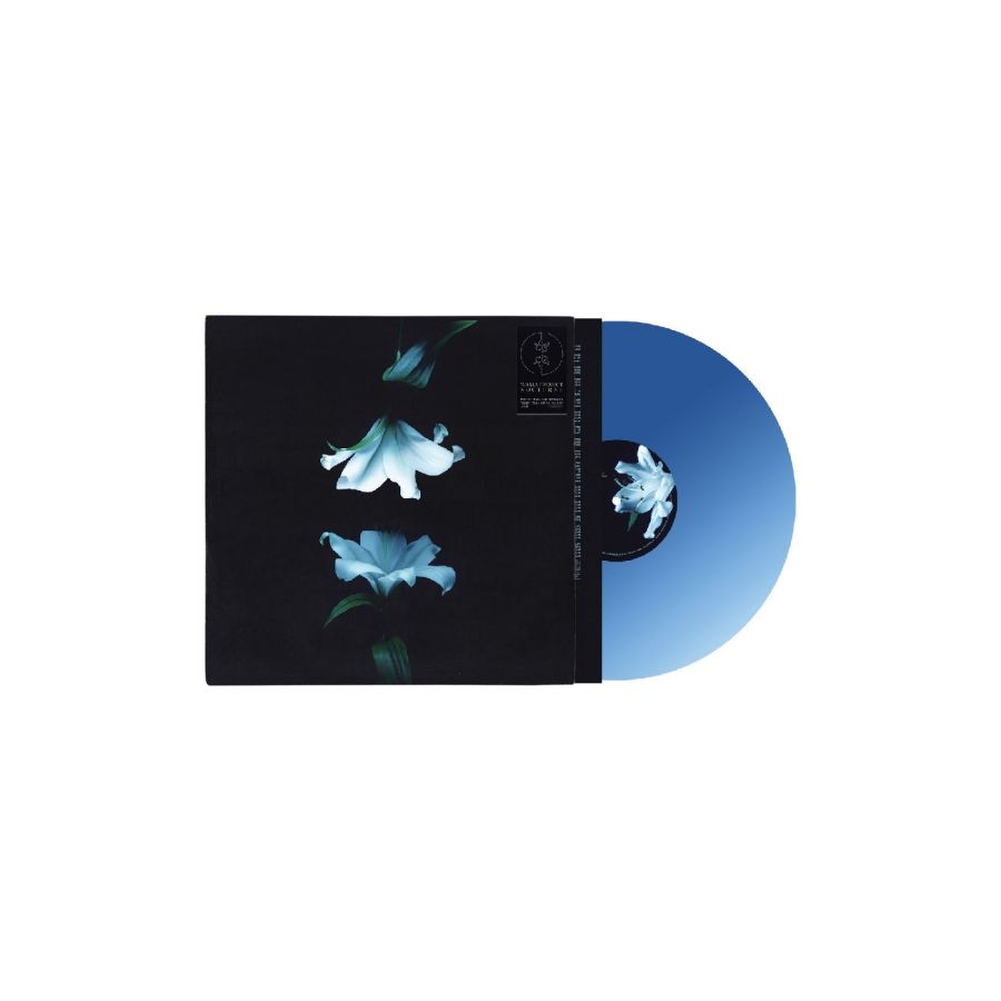 Wasia Project - Nocturne (Indies Exclusive Blue Vin i gruppen VINYL / Kommande / Pop-Rock hos Bengans Skivbutik AB (5673118)