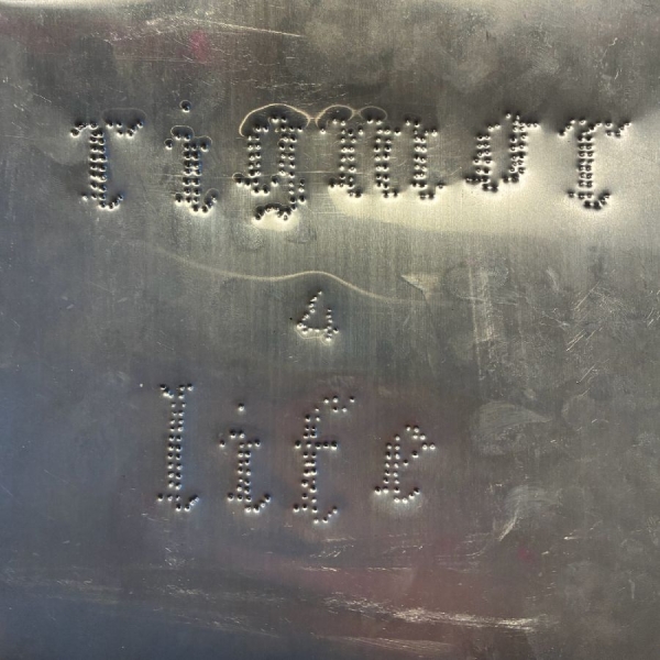 Rigmor - 4 Life i gruppen VINYL / Kommande / Pop-Rock hos Bengans Skivbutik AB (5673406)