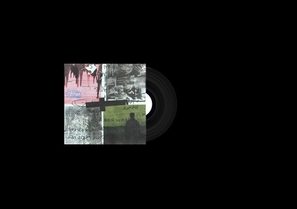 Nothing But Thieves - Stray Dogs i gruppen VINYL / Kommande / Pop-Rock hos Bengans Skivbutik AB (5673602)