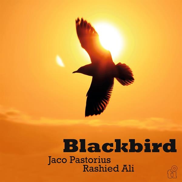Jaco Pastorius & Rashied Ali - Blackbird i gruppen VINYL / Kommande / Pop-Rock hos Bengans Skivbutik AB (5675105)