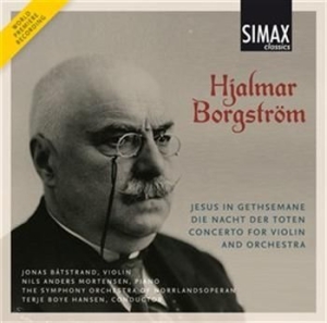 Borgström Hjalmar - Violin Concerto i gruppen CD / Klassiskt hos Bengans Skivbutik AB (567558)