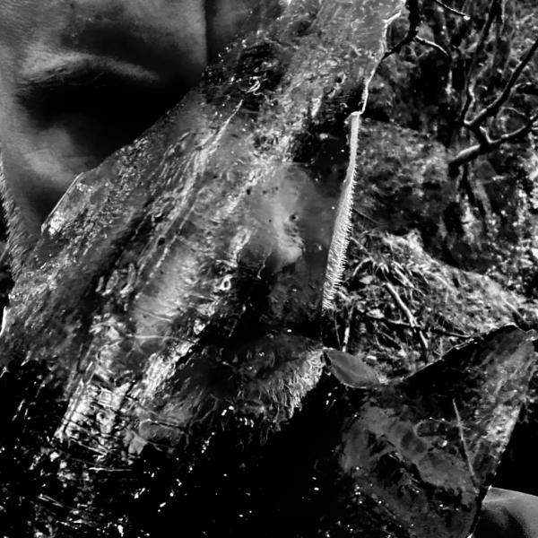 Taake - En Skog Av Nidstang (Cd Jewel Case) i gruppen CD / Kommande / Hårdrock hos Bengans Skivbutik AB (5676429)